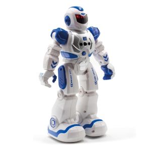 THE SOURCE MOTION ROBOT