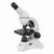 RAINBOW 50L PLUS MOONSTONE MICROSCOPE