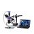 MAGUS STEREO D8TR