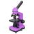 RAINBOW 2L AMETHYST MICROSCOPE