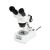 CELESTRON LABS S10-60 STEREO MICROSCOPE