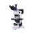 MAGUS METAL 600 BD