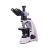 MAGUS POL 800