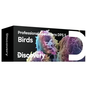 ΠΑΡΑΣΚΕΥΑΣΜΑΤΑ DISCOVERY PROF ΠΟΥΛΙΑ