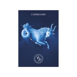 ΚΑΡΤΑ 3D ''CAPRICORN''